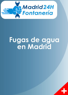 Fugas de agua en Madrid